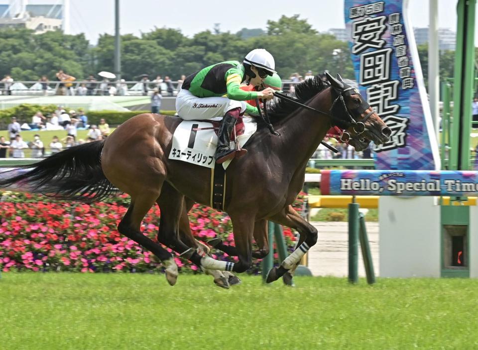 　東京７Ｒを勝ったキューティリップ（撮影・持木克友）
