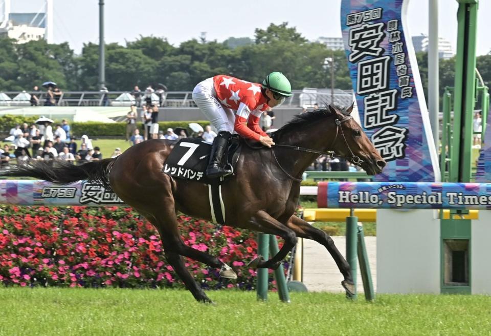 　稲城特別を制したレッドバンデ（撮影・持木克友）