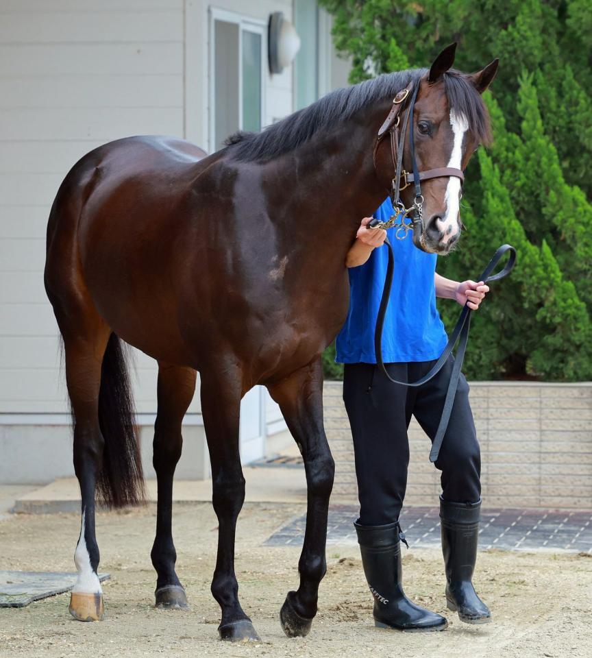 　ソウルラッシュ