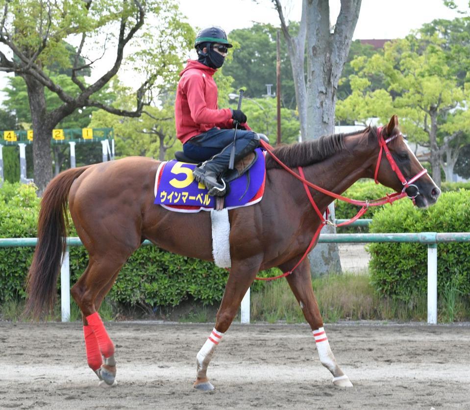 　ウインマーベル