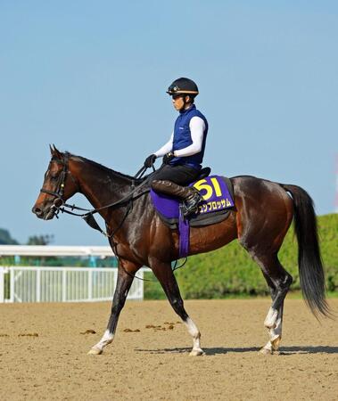 【安田記念】ジュンブロッサムはリラックス　富士Ｓと同じ８枠、差し切りへ陣営「同じような競馬になってくれれば」
