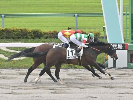 　東京２Ｒを勝ったトライゴーニック（撮影・持木克友）