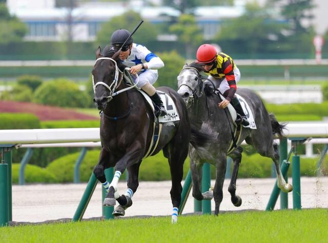 新馬戦】チュウワカーネギー ラスト3F33秒2で押し切った