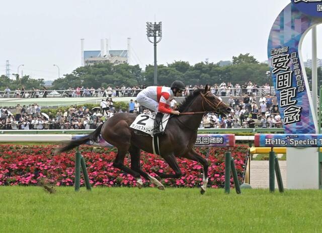 新馬戦】ダノンヒストリー 1番人気に応えて2馬身半差快勝 レーン