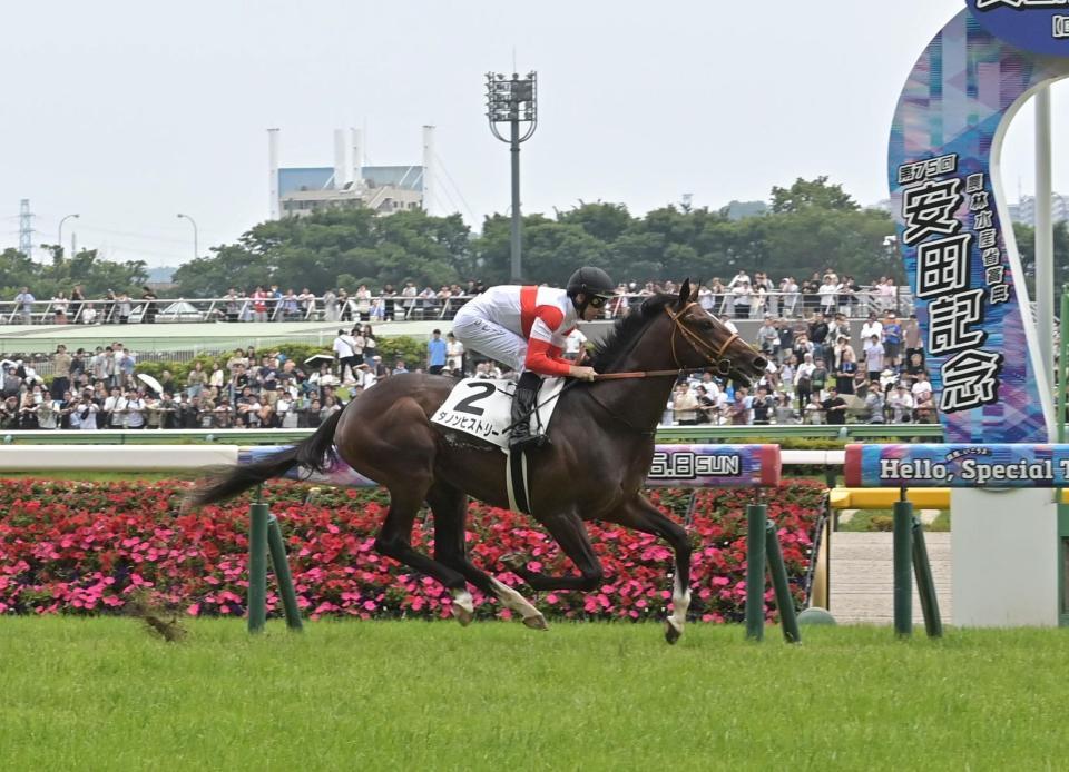 　新馬戦を勝ったダノンヒストリー（撮影・持木克友）