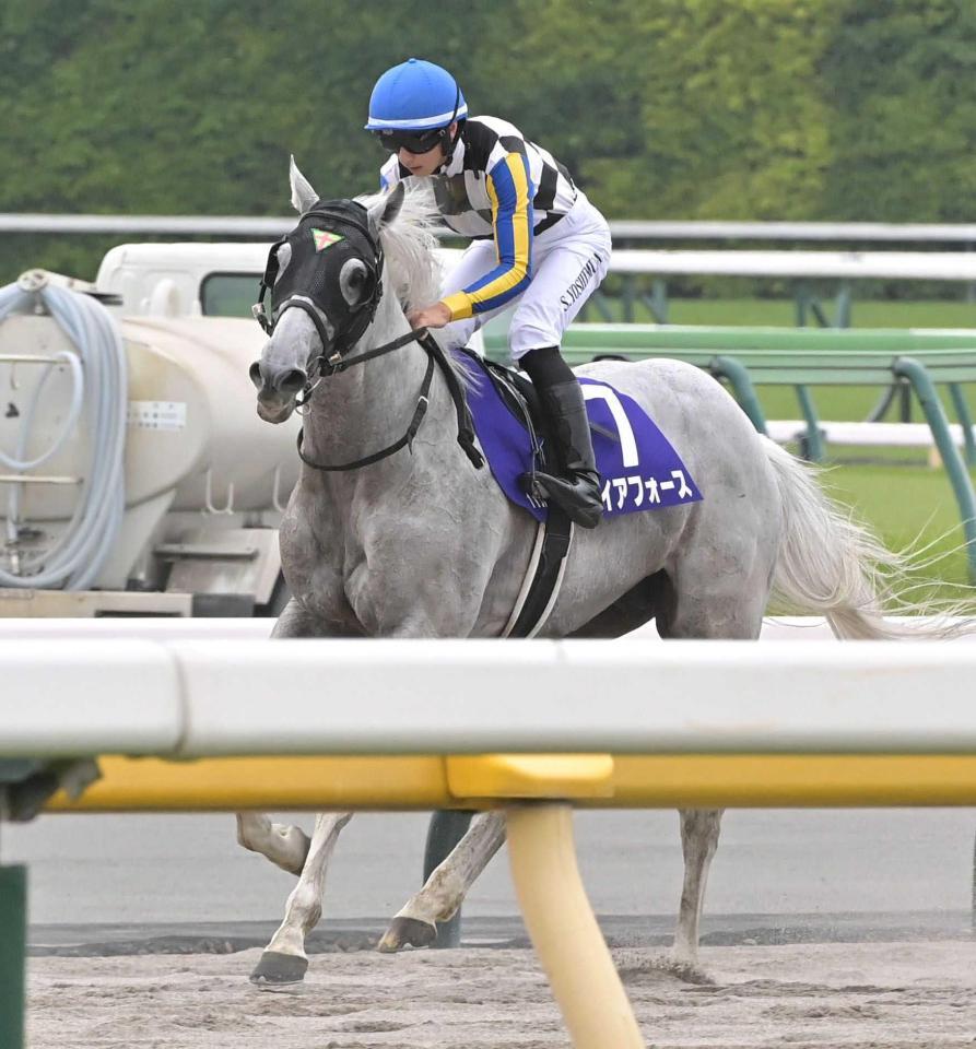 　安田記念で２着に敗れたガイアフォース