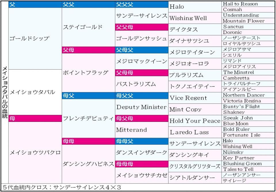 　メイショウタバルの血統