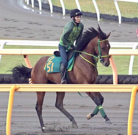【新馬戦】サトノワーグナー　初戦突破を目指す　追うごとに気合「瞬発力のあるタイプ」