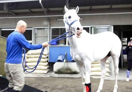 ハヤヤッコ退厩　トレセンに別れ　国枝師「一生懸命走ってくれた」
