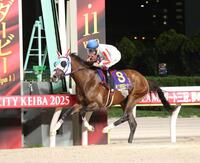 　東京ダービーを制したナチュラルライズと横山武