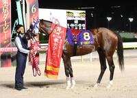　東京ダービーを制したナチュラルライズ