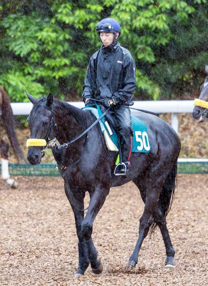 　出世レースに臨むブラックコーラル