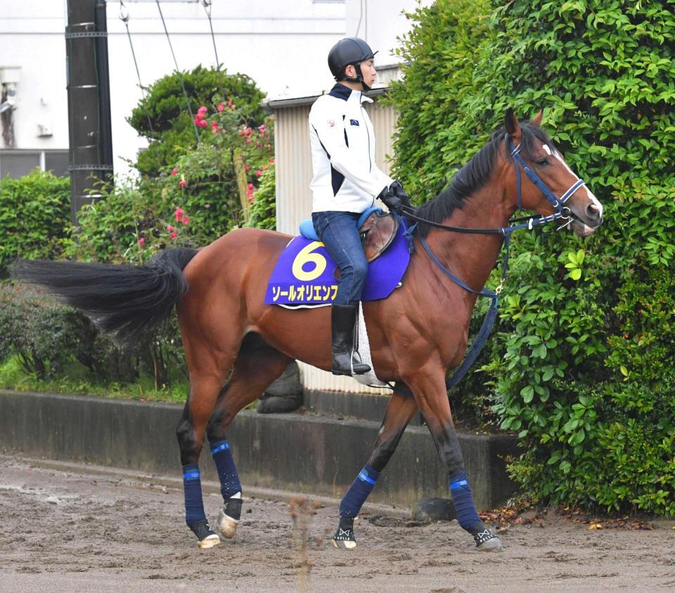 　復活が待たれるソールオリエンス