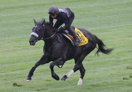 　長谷川師を背に函館芝で鋭い動きを見せたナムラクレア