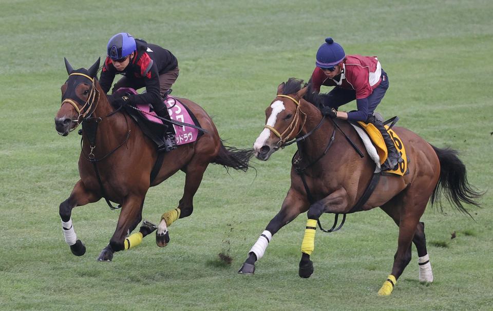 　池添を背に函館芝で併せ馬をするミリアッドラヴ（左）