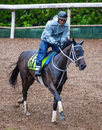 【新馬戦】スマートプリエール　大久保師「きょうだいの中で一番いい」高評価　調教も好時計