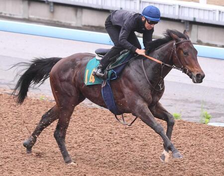 　横山典弘騎手を背に追い切ったユマハム＝美浦トレセン（撮影・園田高夫）