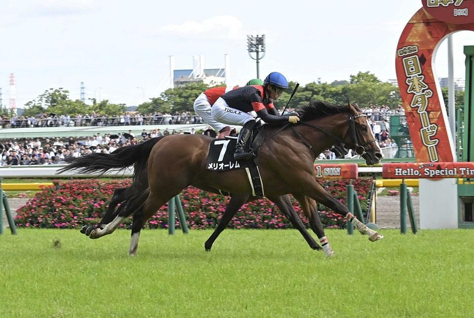 　むらさき賞を制したメリオーレム＝６月１日