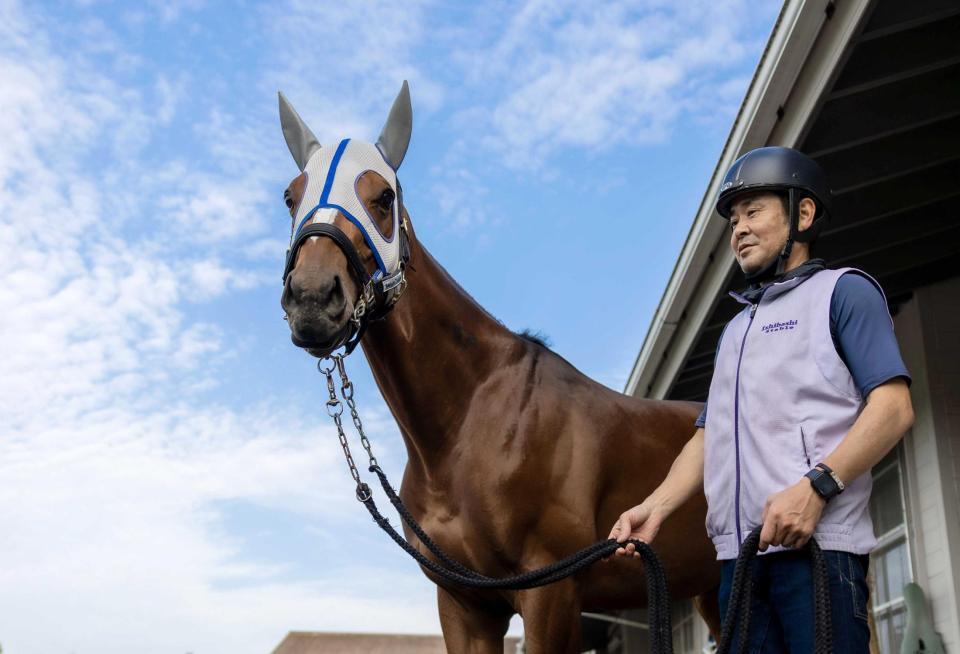 　メイショウタバル