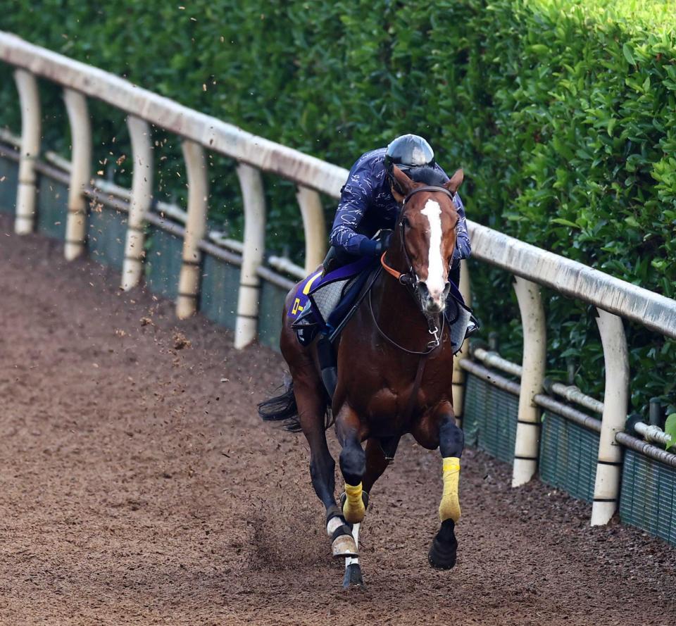 　栗東滞在で万全の態勢を整えたローシャムパーク（撮影・山口登）