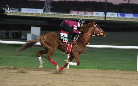 　シンエンペラー