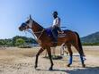 【宝塚記念】馬場状態から浮上するのはこの馬だ