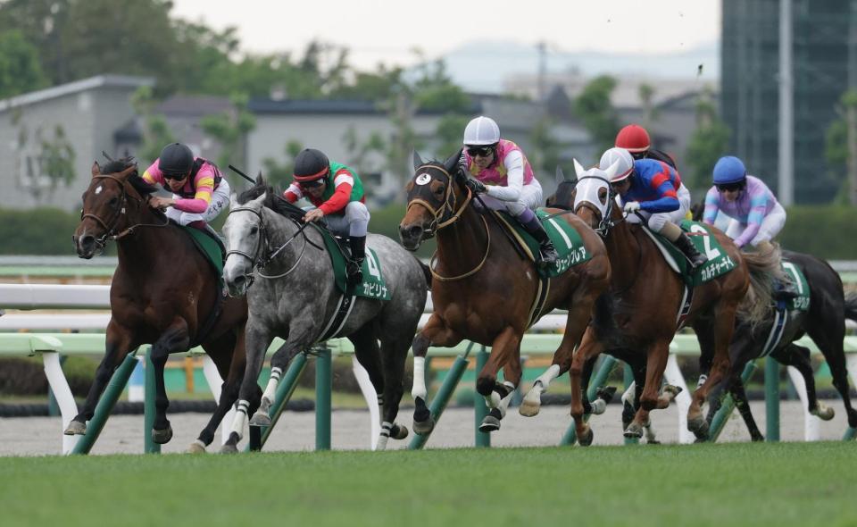 　重賞初制覇を飾ったカピリナ（左から２頭目）