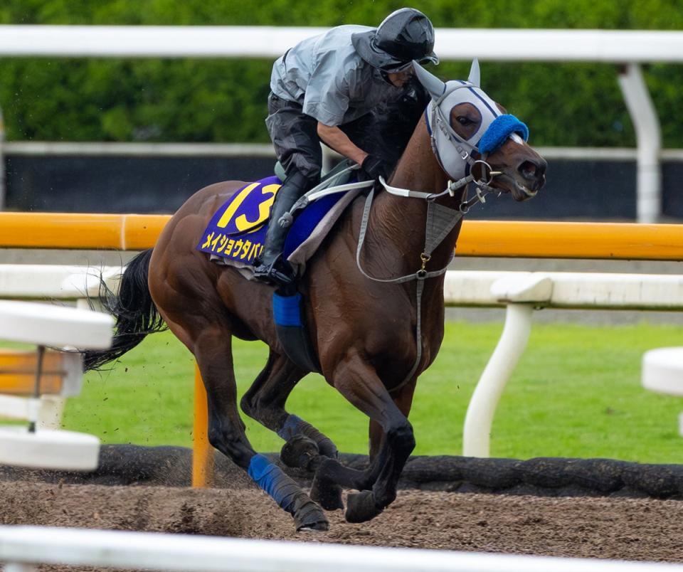 　メイショウタバル