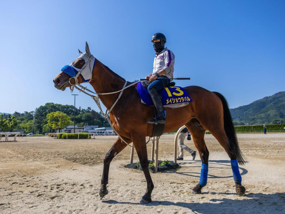 　メイショウタバル