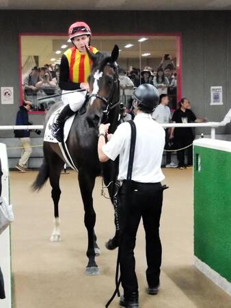 【新馬戦】ドリームコアが初陣星　母はノームコアの良血　レーン高評価「ポテンシャルの高い馬」