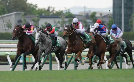 　重賞初制覇を飾ったカピリナ（左から２頭目）
