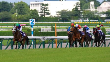 　逃げ込みをはかるメイショウタバル（左端）＝撮影・石湯恒介
