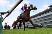 　宝塚記念を制したメイショウタバル