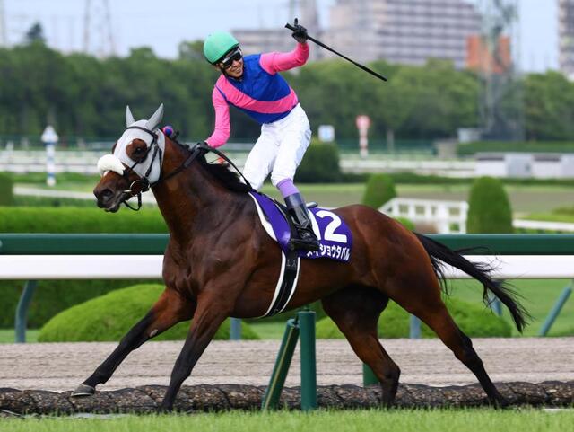 宝塚記念】武豊が決めた！7番人気のメイショウタバルで逃げ切り勝利