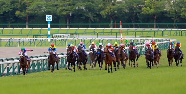 宝塚記念】武豊が決めた！7番人気のメイショウタバルで逃げ切り勝利