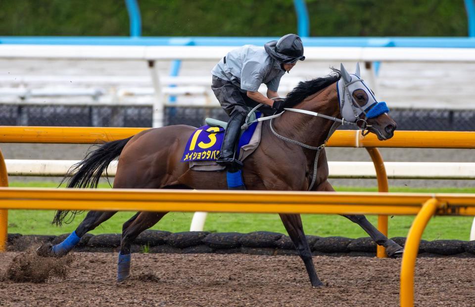 　メイショウタバル