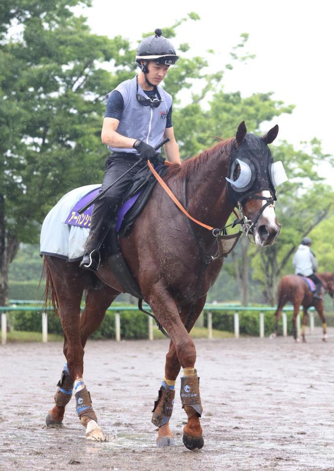 　アーバンシック