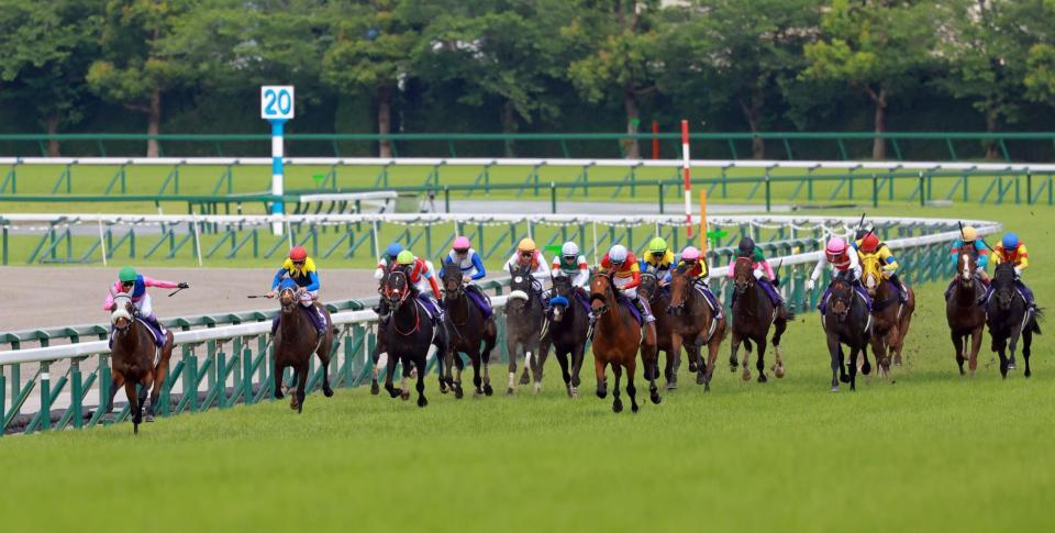 　逃げ込みをはかるメイショウタバル（左端）＝撮影・石湯恒介