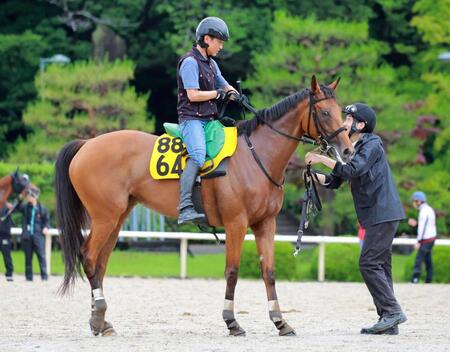 　重賞初Ｖを狙うセキトバイースト