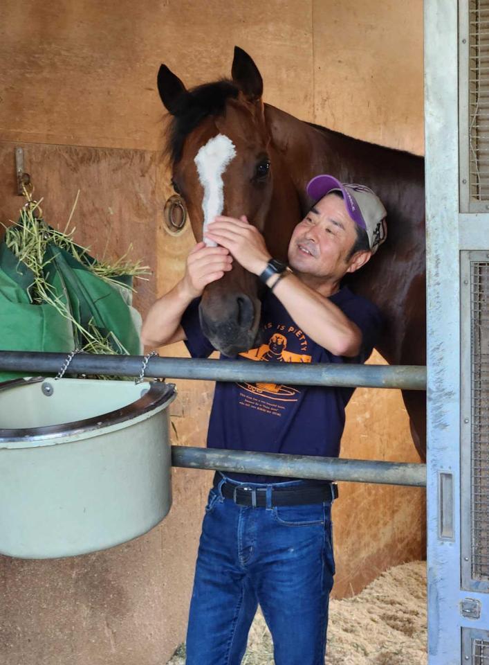 　宝塚記念を優勝した翌日、担当の上籠助手になでられるメイショウタバル　※※　＝栗東トレセン