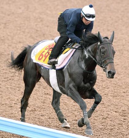 【府中牝馬S】カニキュル 4度目重賞挑戦今度こそ 前走初マイルで才能開花 菊沢師「気持ちと体のバランスが取れてきた」