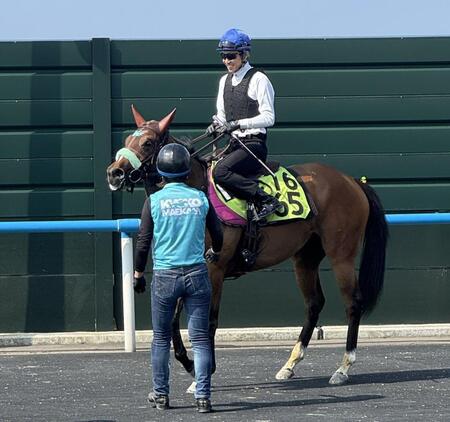 　調教騎乗を終えた武豊