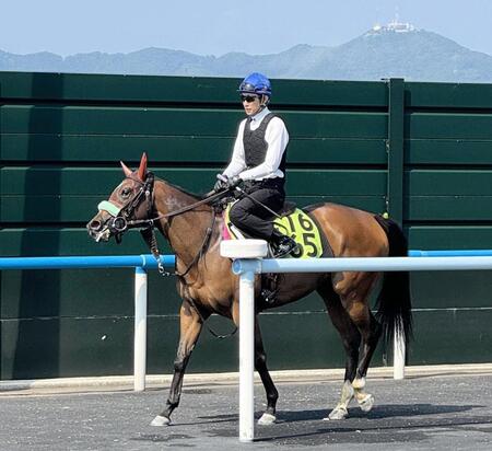 メイショウタバルで宝塚記念Vの武豊が函館競馬場で調教騎乗 レース振り返り「やっぱり折り合いって大事」としみじみ