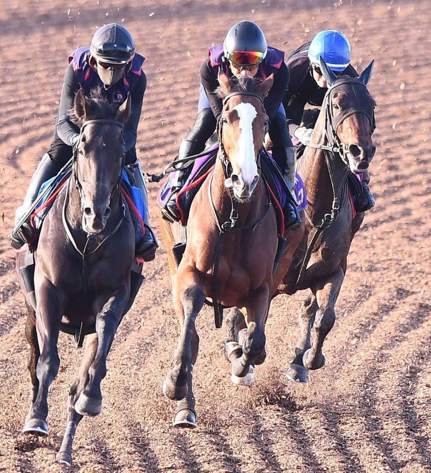 　美浦Ｗの３頭併せで上昇ムードを感じさせたチェルヴィニア（中央）