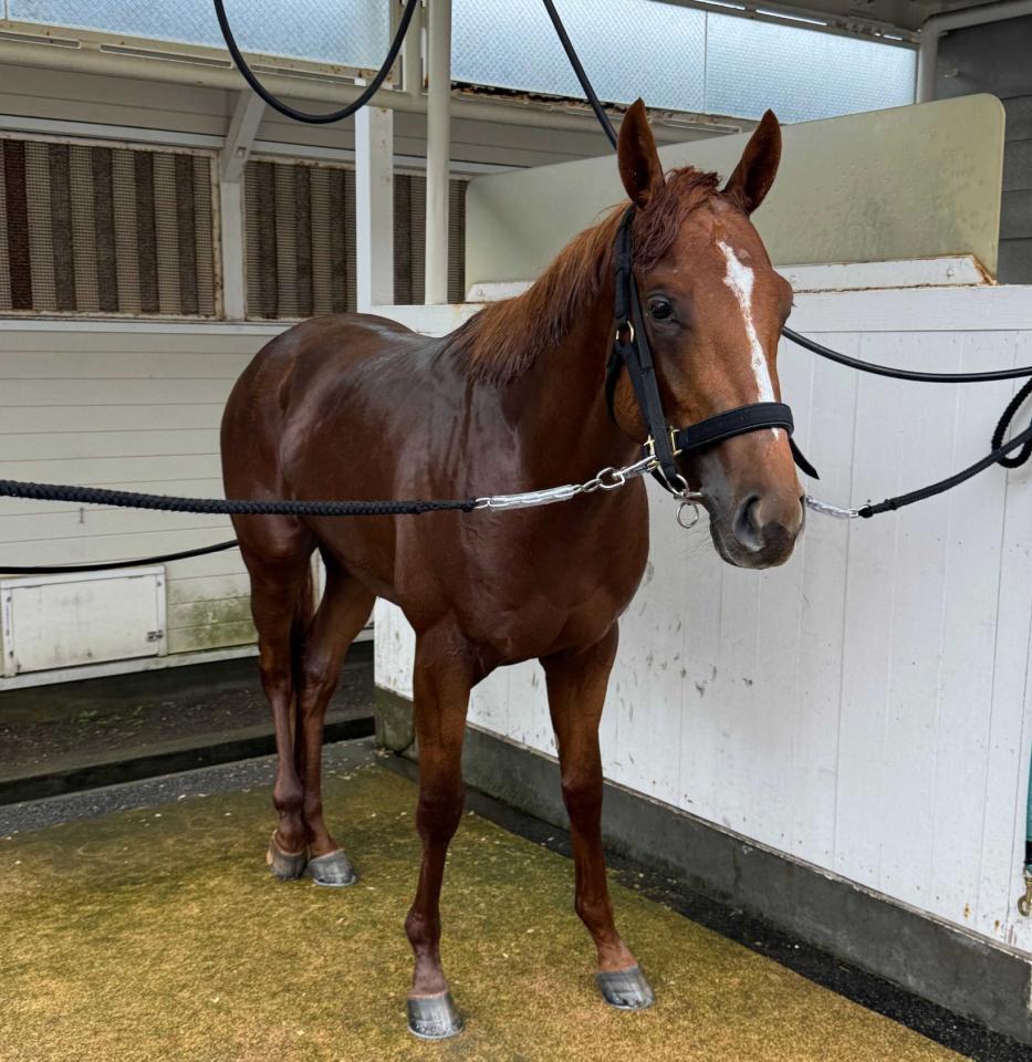 　体を洗うクワイエットアイ