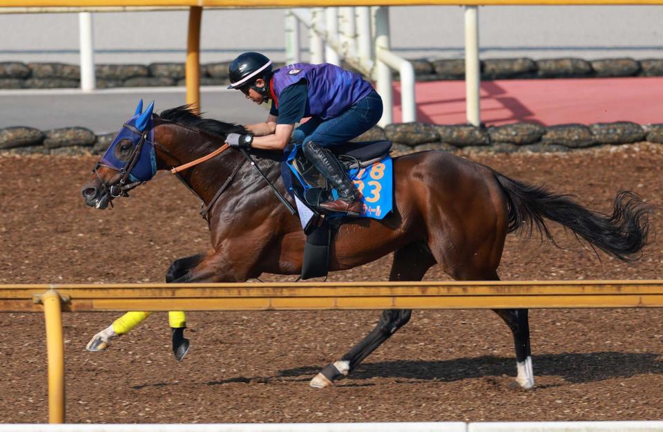 　栗東ＣＷを軽快に駆け抜けたレーベンスティール（撮影・石湯恒介）