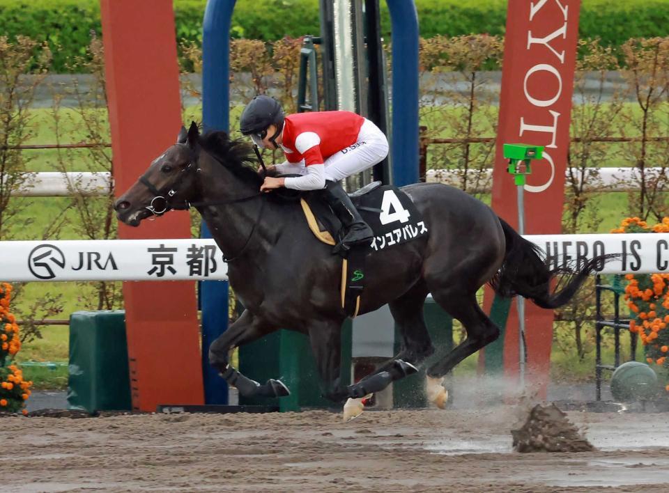 　インユアパレス