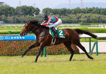 　しらさぎＳを制したキープカルム