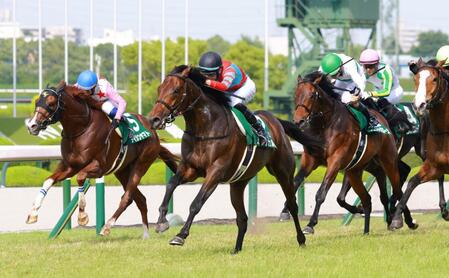 　馬群を割って抜け出るキープカルム（中央）＝撮影・石湯恒介