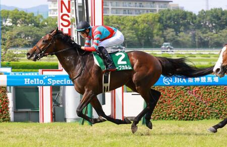 　馬群を割って抜け出たキープカルム（撮影・石湯恒介）